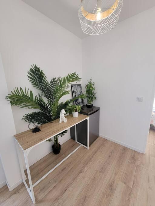 Appartamento Superbe T2 Avec Parking Albi Esterno foto